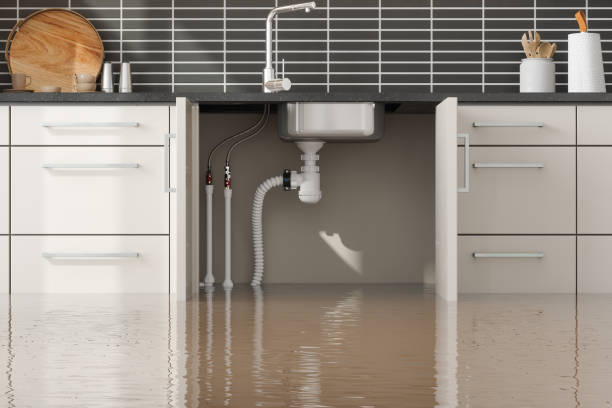Best Emergency water damage restoration  in Ligh, NE