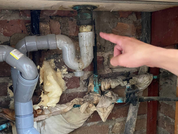 Best Water damage restoration near me  in Ligh, NE