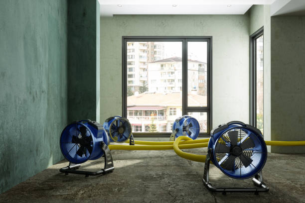 Best Water damage restoration specialists  in Ligh, NE